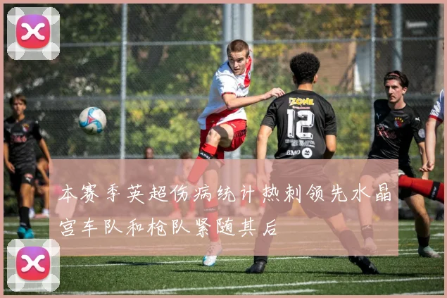 本赛季英超伤病统计热刺领先水晶宫车队和枪队紧随其后